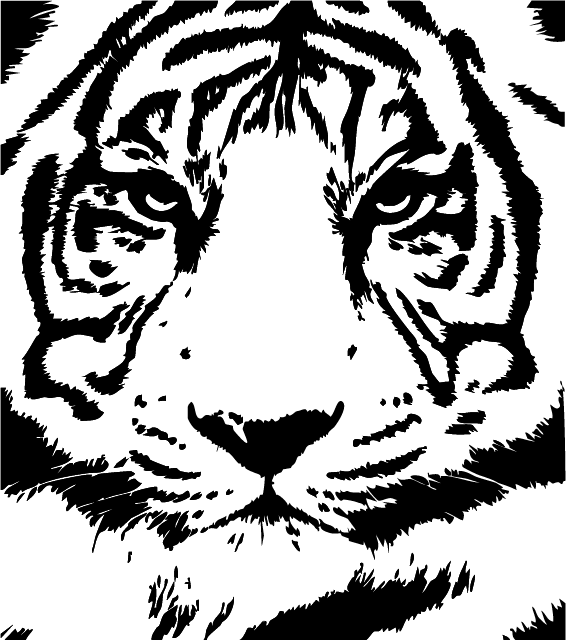 Animan